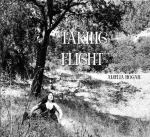Taking Flight Album Cover
